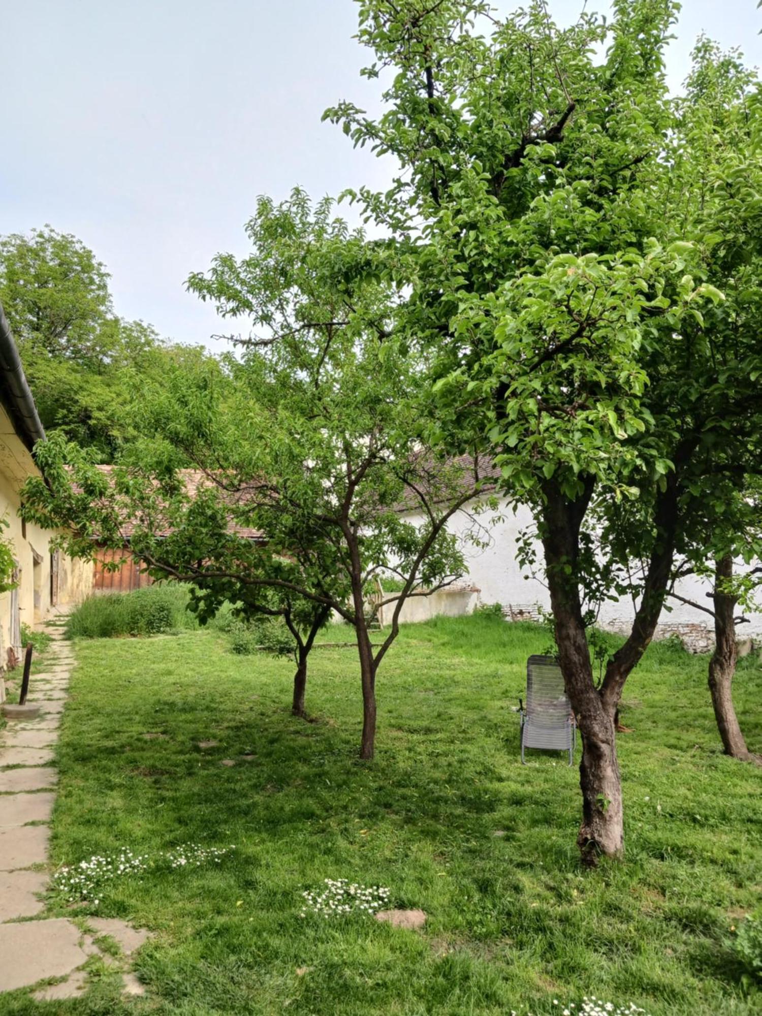 Casa Arthur Richis Richisu 외부 사진
